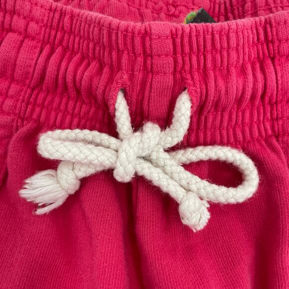 Big Bud Press Hot Pink Sweat Shorts Size S - Picture 3 of 11